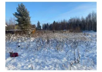 Дом 64,1 кв.м. и земельный участок 900 кв.м. в ХМАО-Югра, Сургутский район, сельское поселение Солнечный, ДНТ "Богдановское", улица 7, участок и дом №37.