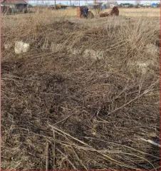 Земельный участок площадью 1400 кв.м, расположенный по адресу: Курганская область, Далматовский район, с. Новопетропавловское, ул. Советская, д. 25. Кадастровый номер: 45:04:040302:6. На участке расположено незарегистрированное строение (кад. номер 45:04:040302:428), находящееся в ветхо-аварийном…