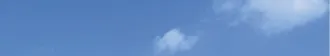 Кран стреловой самоходный КС-6478, 2007, VIN: X8969812М70AW9007.