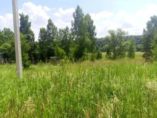 Земельный участок, 2900 кв. м, ИЖС, Московская область, Чехов район, д. Кудаево. В соответствии со статьей 39.18 Земельного кодекса Российской Федерации информируем о возможности предоставления в аренду земельного участка с кадастровым номером 50:31:0050207:547, расположенного по адресу: Московская…