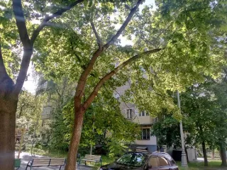 Продажа имущества, находящегося в собственности города Москвы, нежилое помещение по адресу: г. Москва, пер. Алымов, д. 17, корп. 2, пом. 2П,  общей площадью 30,3 кв. м. (Подвал №0), кадастровый номер:77:03:0001004:6422 Продажа имущества, находящегося в собственности города Москвы, нежилое помещение…
