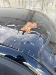 ВАЗ 21101 LADA 110 2007 года выпуска, VIN: ХТА21101071052769. УАЗ-469, госномер: Е093АС22. TOYOTA IPSUM, госномер: С053АУ 04. ВАЗ-21093. ЗИЛ 131 СПК7. Подлежат реализации по прямому назначению.