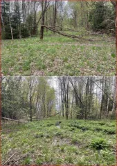 Земельный участок 1001 кв.м в Московской области, городской округ Клин, деревня Слобода. Кадастровый номер: 50:03:0030280:3558. Вид разрешенного использования: для дачного строительства. Площадь: 1001 +/- 22 кв.м. Вид права: Собственность. Обременение: ипотека в силу закона.