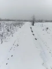 Земельный участок, 75697 кв.м, Краснодарский край, Белореченский район Земельный участок, площадью 75697 кв.м, Краснодарский край, Белореченский район - Земельный участок, площадь: 75 697 +/- 96,3 кв.м., категория земель: земли населенных пунктов, ВРИ: для размещения и эксплуатации производственных…