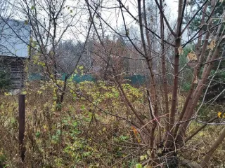 Земельный участок 621 кв.м, Московская область. Кадастровый номер 50:23:0020271:2407. Вид разрешённого использования 2.2.