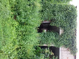 Нежилое здание детского сада площадью 311.9 кв.м, 1977 года ввода в эксплуатацию, расположенное по адресу: Пензенская область, Кузнецкий район, село Анненково, улица Рабочая, 26. Кадастровый номер здания: 58:14:0190201:676. Здание одноэтажное. Расположено на земельном участке площадью 2535 кв.м с…