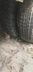 ГАЗ 2705, 2013 года выпуска, VIN: Х96270500D0746107. Тип ТС: грузовой фургон, цвет: белый. Свидетельство о регистрации транспортного средства: 23 38 № 730152, регистрационный знак: Н039КТ123