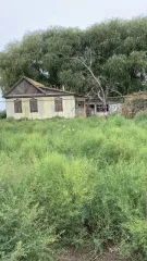 Земельный участок 300 кв.м в Астраханской области, Володарский район, село Кошеванка, улица Береговая, 40. Кадастровый номер 30:02:020401:89, вид разрешенного использования — для ведения личного подсобного хозяйства.