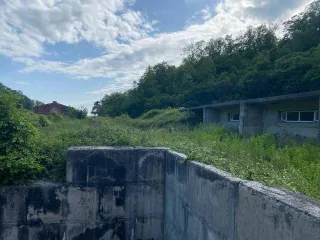 Доля 1/2 в праве собственности на земельный участок площадью 3962 кв.м. Кадастровый номер 23:33:0202001:1086. Краснодарский край, Туапсинский район, населенный пункт «Южный», поселок пансионата.