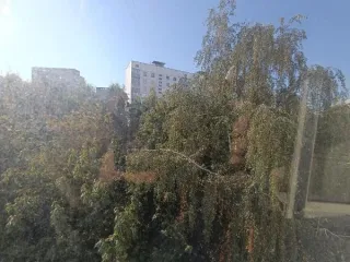 Продажа жилого помещения по адресу: Российская Федерация, город Москва, вн.тер.г. муниципальный округ Головинский, бульвар Кронштадтский, дом 30, корпус 1, квартира 70, общая площадь 31,9 кв.м., кадастровый номер 77:09:0001026:5330 Вид жилого помещения: Жилое Общая площадь: 31.9