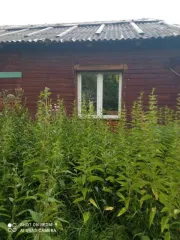 Дом 43,9 кв.м., жилое здание, Владимирская область, Российская Федерация, Владимирская область, м.о. Гороховецкий, п. Пролетарский, ул. Советская, д. 26, кадастровый номер: 33:09:020304:1059