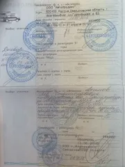<p>Легковой автомобиль, марка: NISSAN JUKE, год изготовления: 2012, цвет: СЕРЫЙ, VIN: SJNFBAF15V6220936, ПТС: 78УС474612, г/н: У502МА96, двигатель №: HR16062845R, мощность двигателя, л. с.  кВт : 117  86 , рабочий объем двигателя, куб. см: 1598, организация изготовитель ТС: ПТС 9904877791</p>