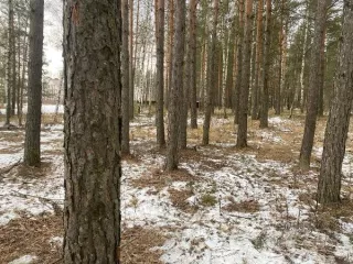 Земельный участок, расположенный по адресу: Российская Федерация, Владимирская область, г.о. Гусь-Хрустальный, город Гусь-Хрустальный, улица Стеклозаводская, ор.площадь 1510 кв.м Земельный участок, расположенный по адресу: Российская Федерация, Владимирская область, г.о. Гусь-Хрустальный, город…