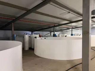 Строительство фермы по выращиванию форели по адресу д. Мещеряково Промпарк «Буинск» Буинского муниципального района, кадастровый номер 16:14:140102:762, общая площадь 1 432,0 кв.м. (в залоге АО «Татагролизинг»); Административное здание, кадастровый номер 16:14:140102:763, общая площадь 57,4 кв.м…