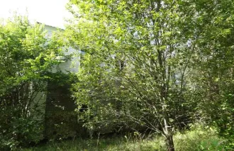 Продажа земельного участка площадью 10458 кв.м, с кадастровым номером 32:31:0030201:32, с расположенными на нем объектами недвижимого имущества: казарма № 1 с кадастровым номером 32:31:0030201:80, казарма с кадастровым номером 32:31:0030201:40, по адресу: Брянская область, г.о. Новозыбковский, г…