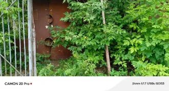 Нежилое помещение, кадастровый номер 52:15:0090516:176, площадь - 47,5 кв.м, по адресу: Нижегородская область, Городецкий муниципальный округ, г. Заволжье, ул. Чайковского, д. 8А, помещение № пом. П10 Нежилое помещение, кадастровый номер 52:15:0090516:176, площадь - 47,5 кв.м, по адресу…