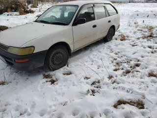 Toyota Corolla, 2001 года, 110 лс, легковой автомобиль, марка: Toyota, модель: Corolla, год изготовления: 2001, цвет: белый, ПТС: 25 TX 110772, г/н: Х325ТН125, мощность двигателя, л. с. (кВт): 110 (82,5), рабочий объем двигателя, куб. см: 1587, кузов №: АЕ1090025487, разрешенная максимальная масса…