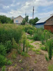Дом 63 кв.м и участок 677 кв.м, г. Энгельс, Саратовская область. Дом 63 кв.м. и земельный участок 677+/-9 кв.м. в Энгельсе. Земельный участок площадью 677 +/- 9 кв.м., кадастровый номер: 64:50:010419:116, расположенный по адресу: Саратовская область, г Энгельс, ул Свердлова, д. 113, дом площадью 63…