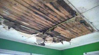 Нежилое здание магазина продовольственного, кадастровый номер 10:19:0020120:23, общей площадью 114,9 кв.м., расположенное по адресу: Республика Карелия, р-н Муезерский, п. Ледмозеро, пер. Школьный, д. 4, с земельным участком, кадастровый номер 10:19:0020120:29, общей площадью 224 +/-5 кв.м.