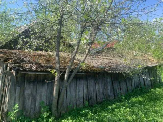 Квартира 44,6 кв.м. и участок 1120 кв.м., Курская область. Квартира 44,6 кв.м. и земельный участок 1120 кв.м. в Курской обл. Ещё квартира 44,6 кв.м. и земельный участок 1120 кв.м. в Курской обл. Ещё 1. Квартира, площадь: 44,6 кв.м., назначение: жилое, этаж: 1, адрес (местонахождение): Курская…