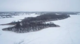 Земельный участок, 81004 кв.м, Псковская обл., р-н Великолукский, СП "Переслегинская волость", земельный массив между д. Русаново и оз. Кислое, кадастровый номер 60:02:0140103:29.
