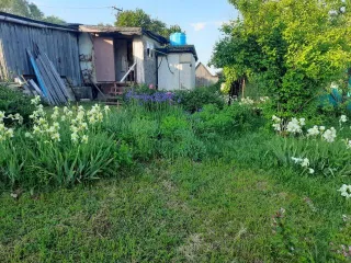 Земельный участок 12 соток с хозпостройкой 49.2 кв.м, Московская область. Кадастровый номер участка 50:38:0040134:179, площадь 1200 кв.м. (12 соток), вид разрешенного использования - для ведения личного подсобного хозяйства. Местоположение установлено относительно ориентира: Московская область…