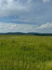 Земельный участок для ведения личного подсобного хозяйства. Кадастровый номер: 02:18:150201:31. Местоположение установлено относительно ориентира, расположенного в границах участка. Почтовый адрес ориентира: Республика Башкортостан, р-н. Бурзянский, с/с. Кулганинский, д. Саргая, ул. Башарт, д. 3…