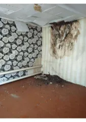 1/4 доли дома и земельного участка, 43 и 554 кв.м, Шумиха, Курганская область, 1/4 доля дома и 1/4 доля земельного участка в Курганской обл., еще 1/4 доля дома и 1/4 доля земельного участка в Курганской обл., 1/4 доля в праве на жилое здание, площадь: 43 кв.м, кадастровый номер: 45:22:030103:862 и…