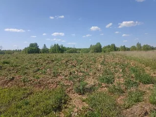 Продажа земельного участка, изъятого по суду, с адресным ориентиром: город Москва, вн.тер.г. муниципальный округ Краснопахорский, квартал 172, земельный участок 9 площадью 15 000 кв.м,  кадастровый номер: 50:27:0020331:96 Продажа земельного участка, изъятого по суду, с адресным ориентиром: город…