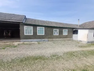 Жилой дом площадью 95,5 кв.м, кадастровый номер 20:06:0401004:716; Земельный участок для ведения личного подсобного хозяйства площадью 423+/-7 кв.м, кадастровый номер 20:06:1401004:713. Информация о зарегистрированных лицах и коммунальных задолженностях не предоставлена. Общая площадь 518,5 кв.м…
