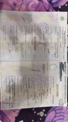 Автомобиль марки Hyundai, модель Accent, 2005 г.в., цвет бежевый, категория B, VIN: X7MCF41GP5M034404, шасси (рама) № отсутствует, СТС 9963 343483 от 02.07.2024г.,