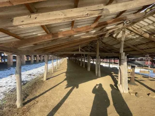 Производственный комплекс общей площадью 1390 кв.м на земельном участке 27 143 кв.м в Адыгее, село Красногвардейское. В состав входят: нежилое здание-гараж 76.2 кв.м; нежилое здание (формовочный цех) 517.4 кв.м; нежилое здание (кольцевая печь, литер Ж) 795.8 кв.м; земельный участок 27 143 кв.м…