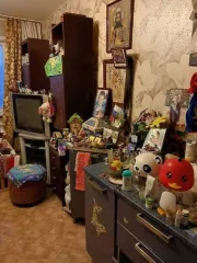 по адресу Красноярский край, г. Норильск, район Центральный, пр т Ленинский, д. 22, кв.66 кад. № 24:55:0402009:2337 площадью 45,4 м2  умерший банкрот 