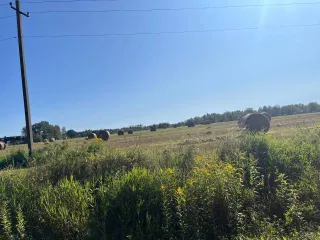 Объекты незавершенного строительства и земельный участок площадью 4999 кв.м. в Калужской области.