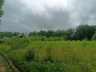 Земельный участок площадью 2100 кв.м, уточненная площадь, погрешность 160.0 кв.м. Назначение: земли населенных пунктов. Адрес: Россия, Нижегородская область, Городецкий район, деревня Косково (Ковригинский сельсовет). Кадастровый номер: 52:15:0060216:366. Находится в совместной собственности.