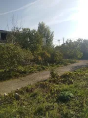 Земельный участок 1 074 кв. м, Краснодарский край: земельный участок общей площадью 1 074 +-/ кв. м, кадастровый номер 23:45:0101252:140, местоположение: местоположение установлено относительно ориентира, расположенного в границах участка, почтовый адрес ориентира: Краснодарский край, р-н Крымский…