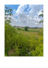 Земельный участок площадью 1010 кв.м для индивидуального жилищного строительства, аренда на 20 лет. Категория земель: земли населенных пунктов. Кадастровый номер: 16:45:070125:1469. Адрес: РТ, Альметьевский муниципальный район, городское поселение город Альметьевск, г. Альметьевск, ул. Анаса…