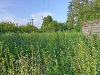 Земельный участок 1 500 кв.м, Республика Башкортостан. Ознакомление с имуществом в период приема заявок производится по заявке, направляемой на электронную почту организатора торгов: kamai@list.ru или по тел. 8(347)216-45-18.
