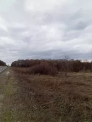 Земельный участок, Кадастровый номер: 73:14:011201:537, Площадь: 293141 +/  4737 кв.м., Назначение объекта недвижимости: данные отсутствуют, Виды разрешенного использования объекта недвижимости: Для сельскохозяйственного производства, Адрес: Ульяновская область, Сенгилеевский район, в 100 метрах по…