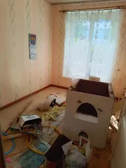 Здание 570,2 кв.м, земельный участок 4290 кв.м, Вологодская область, Сокольский муниципальный округ, здание с кадастровым номером 35:26:0404002:481 вместе с земельным участком с кадастровым номером 35:26:0404002:109. Здание, назначение: нежилое, кадастровый номер 35:26:0404002:481, площадью 570,2…