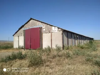 Нежилое здание - птицефабрика, лит. А, общей площадью 1242,3 кв.м, кадастровый номер 06:01:0900001:1635; Нежилое здание - птичник, лит. Г1, общей площадью 1224,6 кв.м, кадастровый номер 06:01:0900001:1889; Земельный участок. Категория земель: Земли населённых пунктов, виды разрешенного…