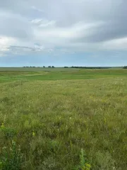 Земельные участки (136 шт.) 361 187 кв. м, Самарская область, Красноярский район, земельные участки (136 шт.) общей площадью 361 187 кв. м в границах ZAO «Kamenskoye» Красноярского района Самарской области, назначение: данные отсутствуют, виды разрешенного использования: для комплексного освоения в…
