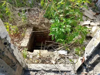 Конечно, пришлите текст объявления, и я его оптимизирую согласно вашим требованиям.