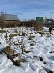 Земельный участок 640+/-9 кв.м., для ведения садоводства, адрес (местоположение): Новосибирская обл., г. Новосибирск, НСТ «Монтажник» ул. Майская, д. 8, кадастровый номер 54:35:081430:4