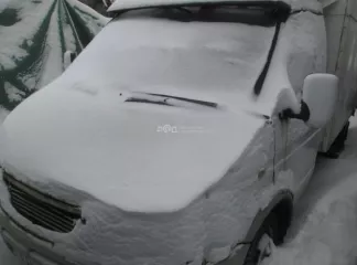 Автомобиль ГАЗ-2705, год выпуска: 2003, VIN: XTH27050030304540, цвет: сине-зеленый, адрес: Санкт-Петербург, ул. Ново-Никитинская, д. 3. Ограничение: запрет на регистрационные действия согласно сведениям сервиса «Проверка автомобиля» ГИБДД.