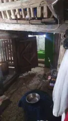 1/4 доля дома 46.5 м² и участка 1500 м² во Владимирской области, Вязниковский район, деревня Меркутино, дом 2. Жилой дом, назначение: жилое, 1 этаж, общая площадь 46,5 кв. м. Кадастровый номер дома: 33:08:080211:14. Земельный участок категории земли населенных пунктов, разрешенное использование…