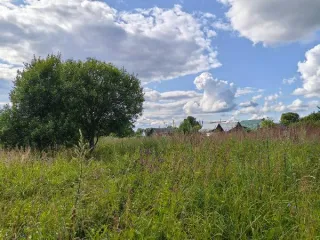 Земельный участок 1792 кв.м, Москва, поселение Роговское, д. Спас-Купля, с адресным ориентиром: город Москва, внутригородская территория поселение Роговское, деревня Спас-Купля, земельный участок 26а, кадастровый номер: 77:22:0040302:491, основной вид разрешенного использования: 1.5.