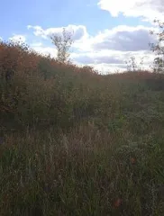 Земельный участок 990 кв. м с кадастровым номером 02:65:011616:338 расположен по адресу: Республика Башкортостан, Туймазинский район, город Туймазы, садовый участок 85