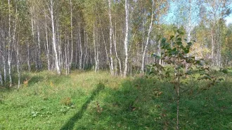 Земельный участок, кадастровый номер: 74:02:1212002:2864, вид права, доля в праве: Собственность, площадь: 1806 +/- 15 кв.м., дата государственной регистрации: 04.06.2021 г., 
Местоположение: Челябинская область, Аргаяшский район, д Саитова примерно 60 метров по направлению на восток от д. 6 по…