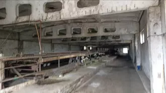 Здание нежилое, общая площадь 3548,6 кв.м,, кадастровый номер 59:36:0640001:186, Адрес объекта: Пермский край, Уинский район, Аспинское с/п, с.Аспа, тер. По левой стороне автодороги "Аспа-Мизево", в урочище у комплекса "Заря" 
Здание нежилое, общая площадь 5435,1 кв.м), кадастровый номер…